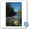 Stamp River Provincional Park