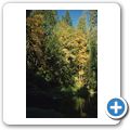 Englishman River Falls Park