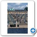 Schlosspark Sanssouci - Weinterrassen