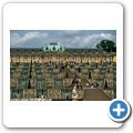 Schlosspark Sanssouci - Weinterrassen