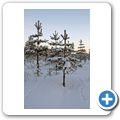 Wanderung durch den winterlichen Wald