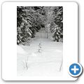 Wanderung durch den winterlichen Wald