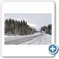 Wanderung durch den winterlichen Wald