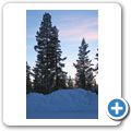 Wanderung durch den winterlichen Wald