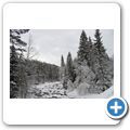 Wanderung durch den winterlichen Wald