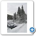 Wanderung durch den winterlichen Wald