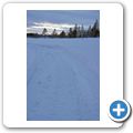 Wanderung durch den winterlichen Wald