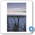 Wanderung durch den winterlichen Wald