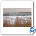 Winter auf R&uuml;gen