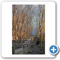 Nationalpark Jasmund