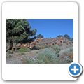 Naturpark "Sierra de Tejeda Almijara y Alhama" - Ziegenhirte