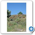 Naturpark "Sierra de Tejeda Almijara y Alhama" - Ziegenhirte