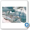 J&ouml;kuls&aacute;rlon
