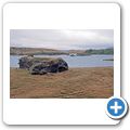 M&yacute;vatn