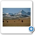 Highway 22 - Der historische Cowboy Trail