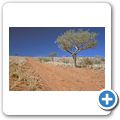 "Rooisand Desert Ranch"