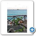Hotel "Chauve Souris Relais" - Blick auf die Insel St. Pierre