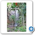 Insel "Praslin" -  Vall&Atilde;&copy;e de Mai