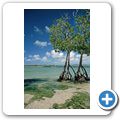 Poste Lafayette Beach