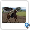 Tulbagh - Farm Show