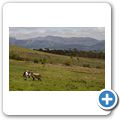 Tulbagh