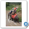Takua Thung - Elephant Camp