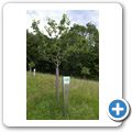 Lalling - Streuobst Erlebnisgarten