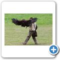 Schloss Tambach - Bayerischer Jagdfalkenhof - Steinadler