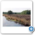 Emsland Moormuseum - Moorlandschaft