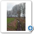 Naturschutzgebiet "Niederrhein"