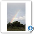 Regenbogen