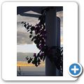 Coral Estates - "Villa Las Verandas" (1025)