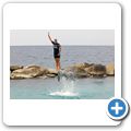 Sea Aquarium Park - Delfin-Show