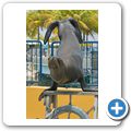 Sea Aquarium Park - Seel&ouml;wen-Show