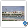 Lamberts Bay - Bird Island Reserve