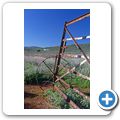 Tanagra Wine + Guest Farm