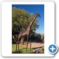 Aquila Game Lodge