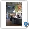 Constantia Wine Route - Steenberg Wine Estate