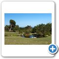 Betty's Bay - Harold Porter National Botanical Garden