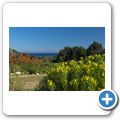 Betty's Bay - Harold Porter National Botanical Garden