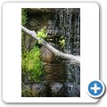 Amazonia