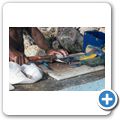 Westpunt - Fischmarkt