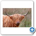 Halbinsel Kintyre