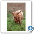 Halbinsel Kintyre
