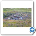 Rannoch Moor