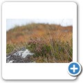 Rannoch Moor
