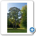 Brodie Castle