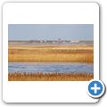Deichwanderung - neues Sieltor von Greetsiel