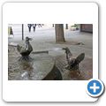Neustadt a.d. Weinstra&szlig;e - Elwetritschebrunnen