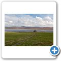 Loch Gruinart - Kilnave Chapel